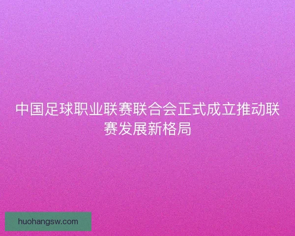 中国足球职业联赛联合会正式成立推动联赛发展新格局