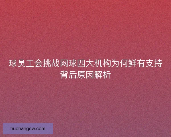 球员工会挑战网球四大机构为何鲜有支持背后原因解析